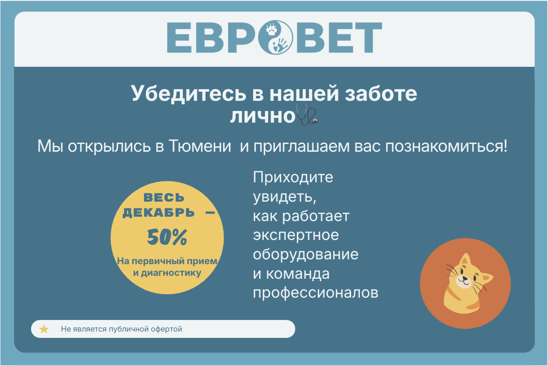 Современная диагностика, внимательные врачи, экспертный подход — всё, чтобы вы доверяли нам.