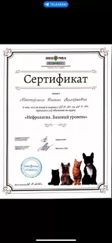 Сертификат сотрудника Мастерских Д.В.