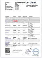 Виктория, изображение к комментарию.