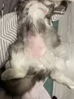 Виктория, изображение к комментарию.