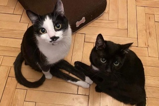 Кристюша Черниговская