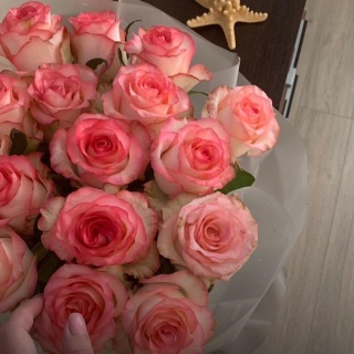 Анастасия Криулькина