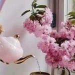 Ольга Летаева