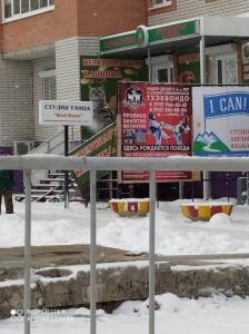 Фотография Собачье сердце 5