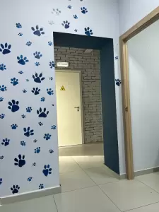 Фотография Ноэль 3