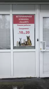 Фотография ЭкзоВет 5