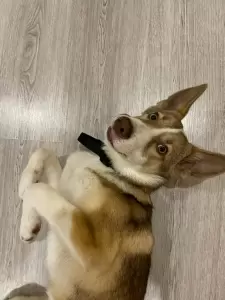 Фотография Ноэль 4