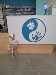 Фотография Евровет 5