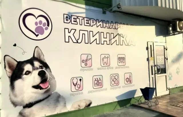 слайд