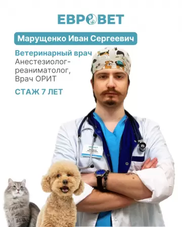 Муращенко Иван Сергеевич